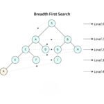 Breadth First Search (BFS)